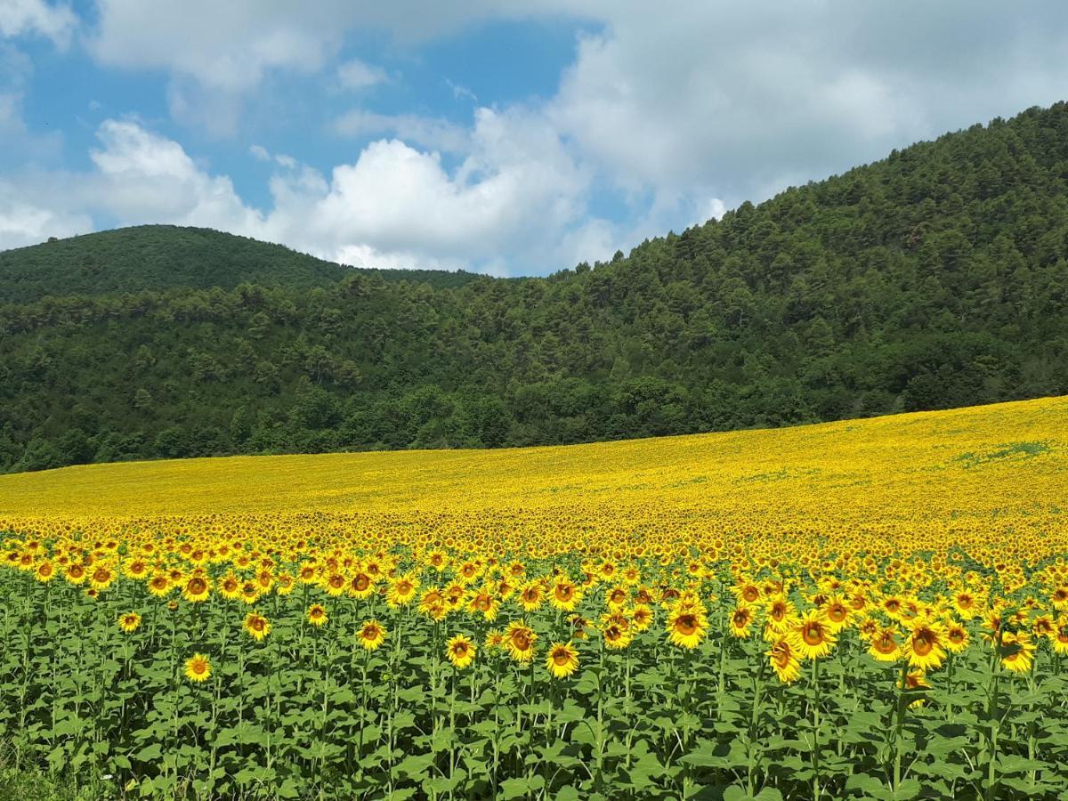 Il Girasole Del Lago 피에딜루코 외부 사진